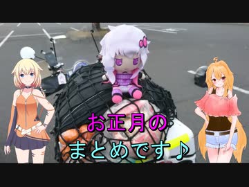 今年のお正月まとめ♪