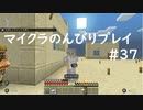 【マイクラ】のんびりプレイ #37