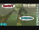 【続編決定記念】のんびりと伝説「ゼルダの伝説～ブレスオブザワイルド～」　＃41