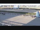 第64回ニューイヤーカップ トランセンデンス