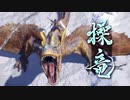 1080p高画質版【MHR】Switch新作『モンスターハンターライズ』 PV3