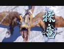 【初見】おきらくな二人がモンスターハンター　スペシャルプログラム　2021.1.7を実況！