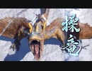 １月７日のモンハンライズ最新情報でうるさくなるだけの動画