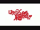 はたらく細胞フレンズ!!