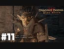 仕事辞めたので覚者になる。#11【ドラゴンズドグマダークアリズン】【DDDA】