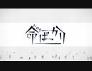 【命ばっかり】歌ってみた - TanZ
