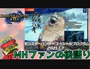 【MH好きバーガーの後語り】興奮冷めやらぬままホームページ見て情報整理【モンハンライズSPプログラム】