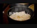 【VY1】飯食らいたい/VY1 feat,humage001【オリジナル曲】