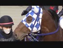 2021年1月8日浦和競馬 ブルドッグボス号引退式