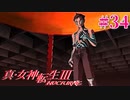 RE出たけど無印版を初見プレイ【真・女神転生ⅢNOCTURNE】　＃34
