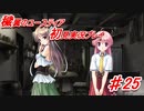 泣けると名高い神ゲーを堪能する【穢翼のユースティア】実況プレイ part25