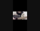 弾き語りさんTikTok!!【修正版＆リクエスト】
