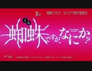 蜘蛛ですが、なにか？ OP