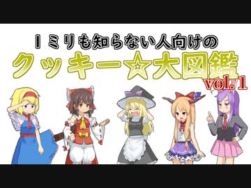 １ミリも知らない人向けのクッキー☆大図鑑vol.1