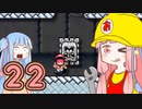 【SMM2】ゲームに学ぶコース作り講座 #22【スクロール】