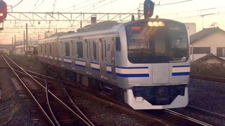 E217系Y-2編成+Y-101編成 上総一ノ宮駅2番線入線