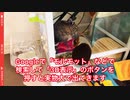 バーチャルモルモットが遊びにきた　Virtual guinea pigs are here to play.