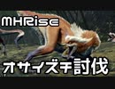 【実況】オサイズチを討伐してみた。【MHRise体験版】
