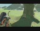 ハルビーのゼルダbotw散策記　振り返り　八十二回目　その2