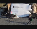 必死に魚を食べる成猫を、子猫はこんな風に見ていました