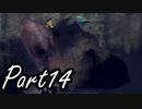 ぼやきながら冒険する『人喰いの大鷲トリコ』実況プレイ Part14