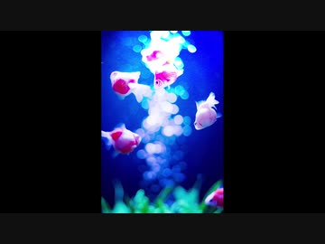 【NNIオリジナル曲】　Venè　【インスト】