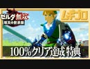 ゼルダ無双 厄災の黙示録｜初代ゼルダ無双コスチューム（100%クリア特典）【実況】