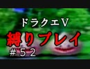 【ドラクエ5 縛りプレイ】レベリング兼ゴールド集めならあそこでしょ！(フラグ建設)Part52【アルカリ性】
