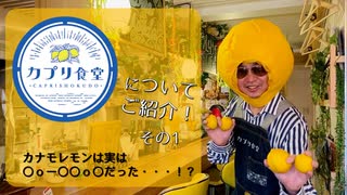 【レモンのお店】カプリ食堂について PART1