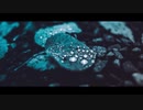 闇の彼方 (mozell remix)