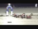 2021年1月9日高知競馬5R A・B混合 ヴェリテ