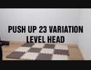 No gymPush up 23variation. Level head