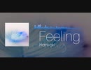 H4K0 - Feeling