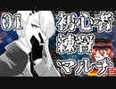 【Hoi4】初心者練習マルチのまとめ＃01【Vtuber】