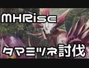 【実況】タマミツネを討伐してみた。【MHRise体験版】