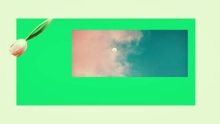 ネバーランド / 初音ミク