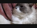 明日をみつめてから眠る
