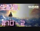 【生配信実況】ゼルダの伝説 Breath of the Wild やります #10-2 #あいちょこ