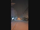 サーッ!!(迫真降雪)