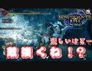1年ぶりにモンハンやったら、狩られました。【MHRISE】
