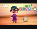 【あつまれどうぶつの森】をASMRで実況プレイPart４７/ なんと写真をもらいました【Okano's ASMR】