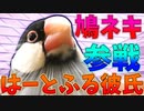 スッと始まった夏休み #3【はーとふる彼氏】
