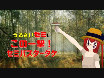 日本生類創研　製品紹介「せ-B-1998"セミバスターダケ"」【日本生類創研カタログ掲載製品 】