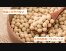 【スパイスを知ろう！】大豆を知ろう！【part41】