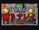 【ドラクエ5 縛りプレイ】戦略的装備集め回。現実逃避じゃないよ！Part53【アルカリ性】