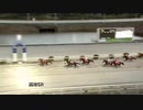 2021年1月10日高知競馬5R 株式会社グランディール協賛グランディールレディスシリーズ ベラトリックス特別(準重賞・4歳以上牝馬) ペイシャワイルド