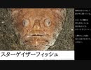【閲覧注意】見た目がヤバすぎる深海魚７選【ランキング】