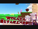 仲良く喧嘩する招福にゃことさとうなむ＋おまけ付き