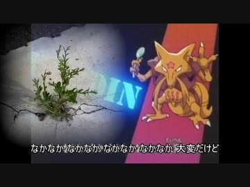 めざせ草ポケモンマスター