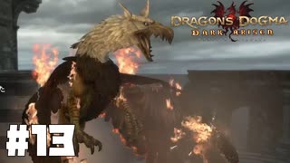 仕事辞めたので覚者になる。#13【ドラゴンズドグマダークアリズン】【DDDA】